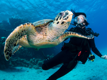 želva pro cooldivers